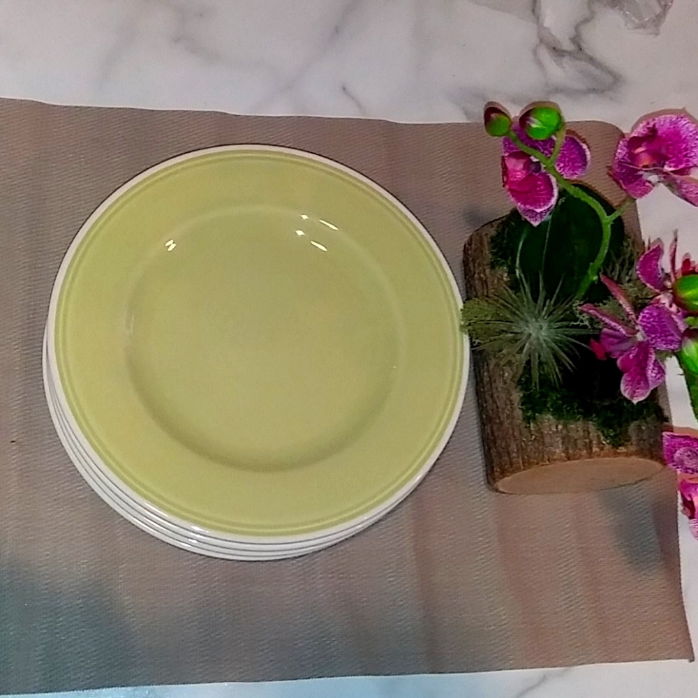 4 Zara Plates
